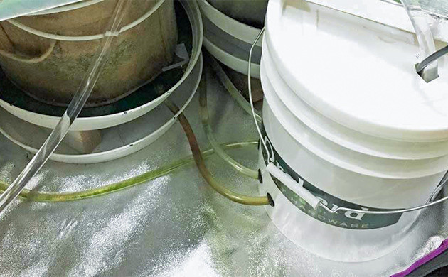 Дренаж: важность для полива Проблемы переувлажнения: роль дренажа