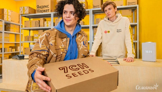 Оплата заказа в ПВЗ Яндекс Заказ Яндекс Маркет