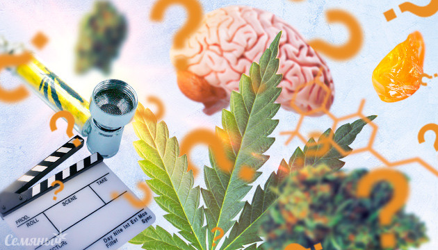 Небанальные вопросы про каннабис Квиз про каннабис