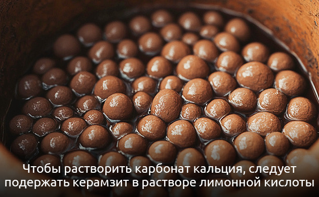 Растворение карбоната кальция кислотами Как растворить карбонат кальция