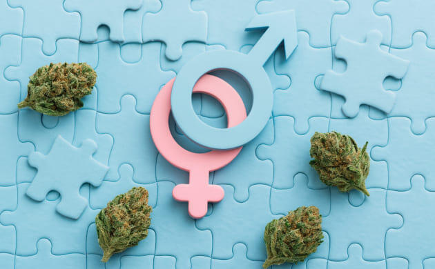 Женщины и каннабис: от ухода за собой до рекреационного потребления Гендерные различия в употреблении каннабиса