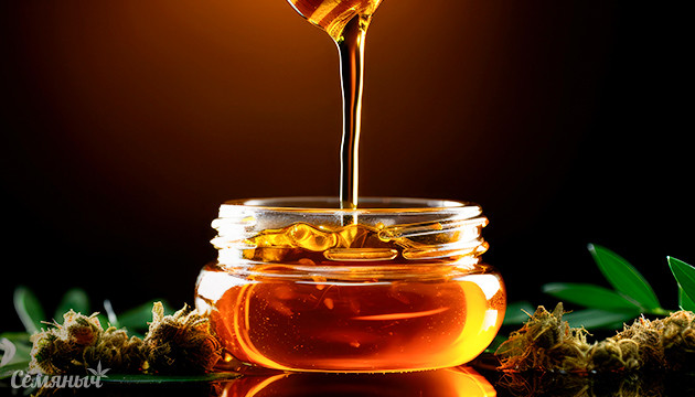 Получение концентратов конопли без растворителей