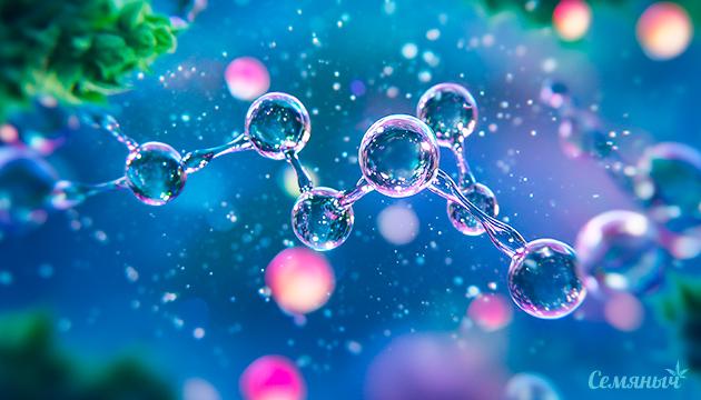 Гормоны каннабиса и как они влияют на его развитие Виды и роли гормонов конопли