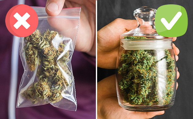 Как замораживать коноплю Процесс заморозки соцветий каннабиса