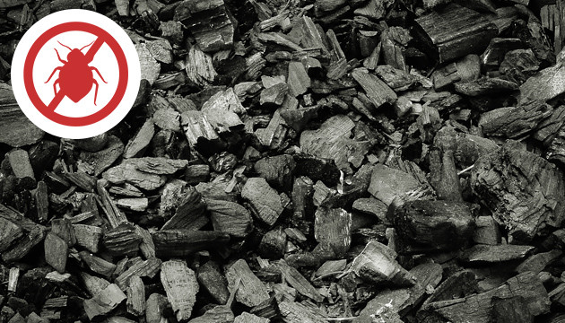 Защита от вредителей Древесная зола от вредителей