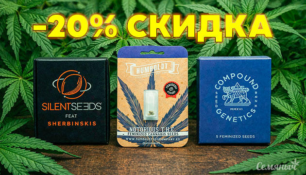 20% скидка на премиум сидбанки Скидка 20% на сидбанки: Compound Genetics, Humboldt Seed Company, Silent Seeds