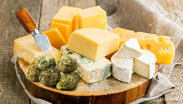 Подборка сырных сортов конопли в день любителей сыра Подборка семян сырной конопли ко дню любителей сыра