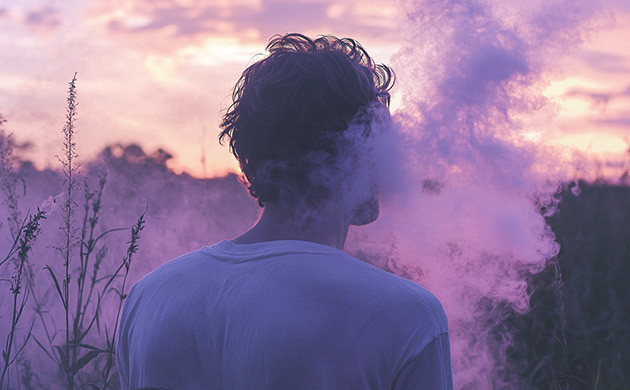 Вкусы и ароматы линалоола Линалоол в марихуане: многослойность ароматов и яркость вкусов