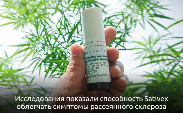 Исследования каннабиса в Королевском колледже Sativex в борьбе с деменцией