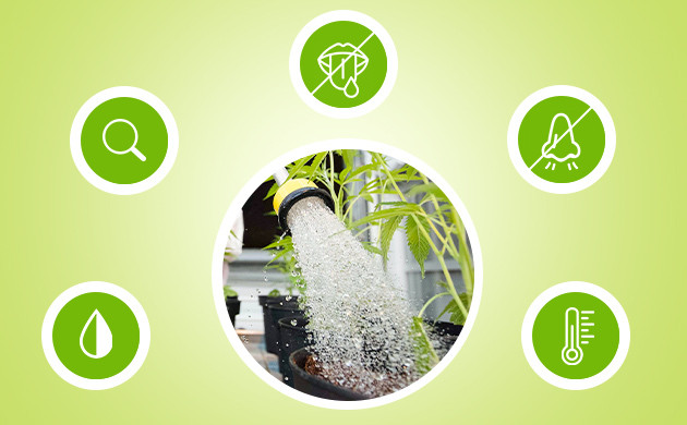 Важнейшие органолептические качества воды для полива 5 органолептических качеств воды