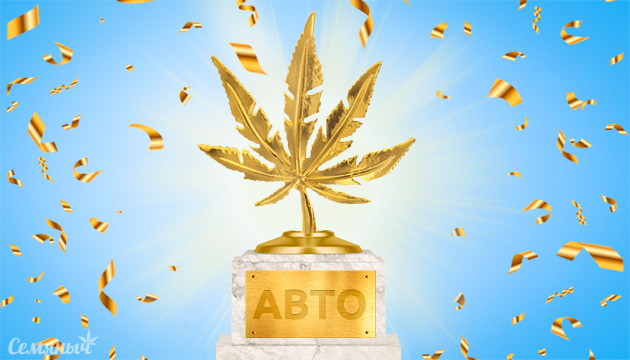 ТОП 5 автоцветов Лучшие автоцветущие сорта конопли