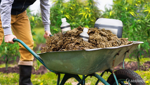Органические удобрения для выращивания каннабиса Обзор органических удобрений для конопли
