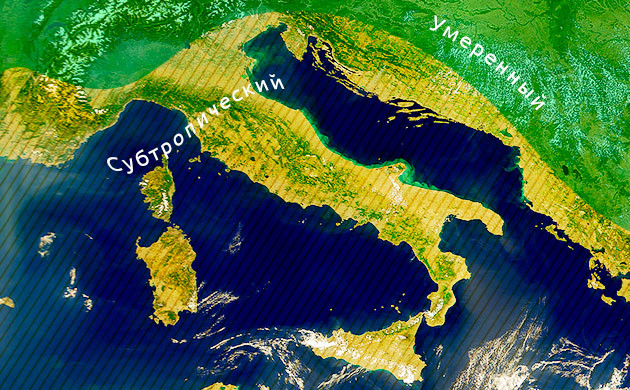 Легализация марихуаны в Италии Законопроект о легализации марихуаны в Италии