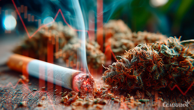 Легализация конопли снижает спрос на табак и стимуляторы Влияние легализации на рынок веществ