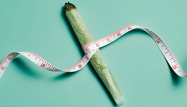 Каким образом марихуана борется с лишним весом Влияние конопли на лишний вес