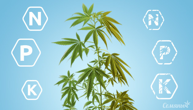 Как проявляется дефицит NPK