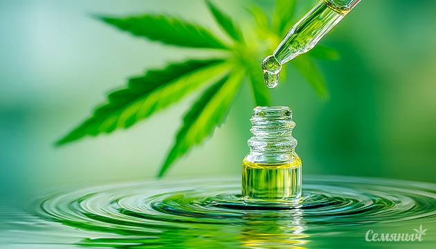 Каннабидиол помогает справляться со стрессом и улучшает самочувствие КБД как адаптоген: поддержка организма при стрессе и восстановление баланса