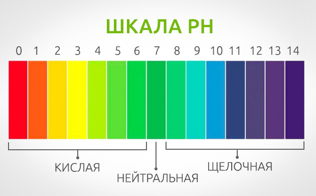Шкала значений кислотности от 1 до 14 Шкала pH