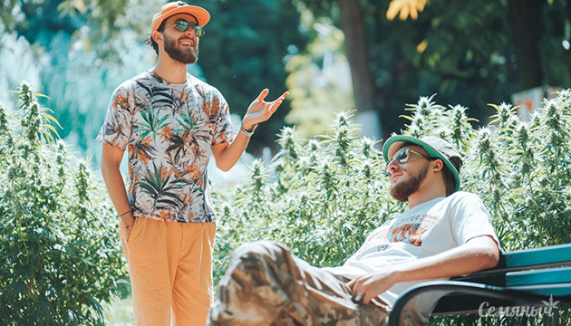 Телесный и ментальный эффект конопли Как каннабис воздействует на разум и тело