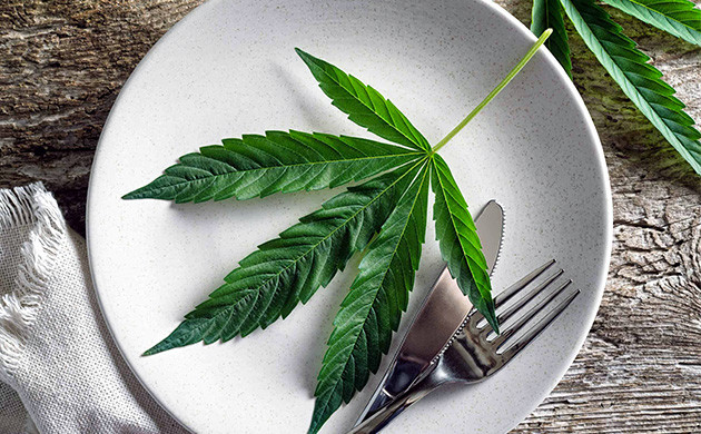 Применение марихуаны в кулинарии Лист конопли на тарелке