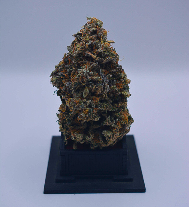 Оправданные ожидания и легкий гров High Society: качество урожая и аромат