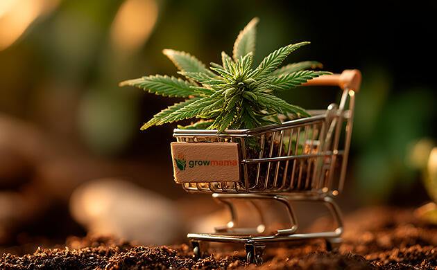 Growmama – всё для гидропонного гровинга Магазин для выращивания каннабиса Growmama