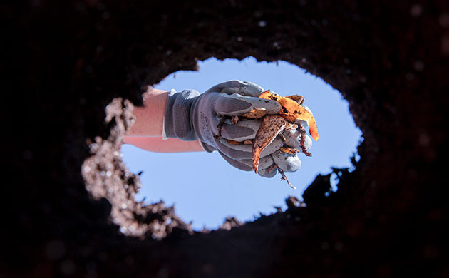Почвенные требования и дренаж в аутдор-гровинге Подготовка почвы и дренаж для выращивания конопли