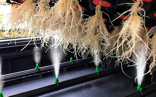 Развитие аэропонных технологий Новшества в технологиях аэропоники