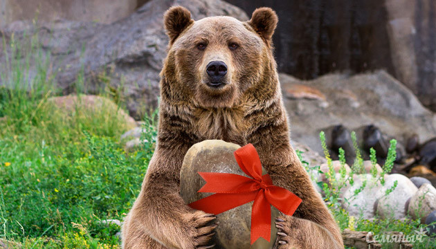 Dos-vi-dos или Dos-vi-Dos Auto на выбор Акция досвидос