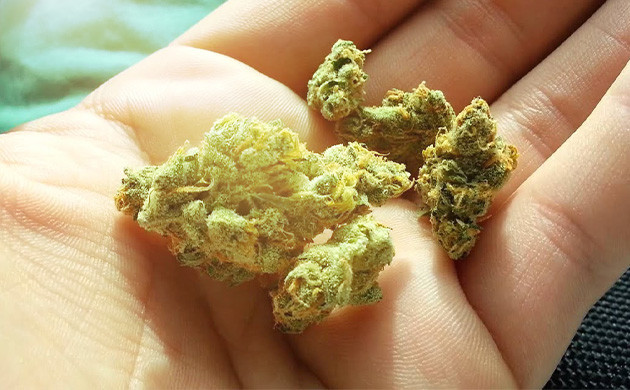 Светдруг или враг для ТГК Воздействие света на ТГК