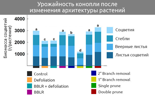 Урожайность конопли после изменения строения кроны Сравнение массы соцветий, стеблей, листьев, листьев соцветий
