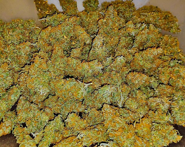 Сбор урожая и впечатления гровера Харвест и общие впечатления