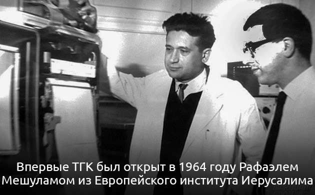 Как марихуана взаимодействует с эндоканнабиноидной системой Воздействие марихуаны на организм человека