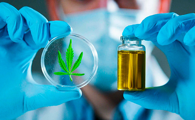 Тест на наркотики и разновидности КБД Тест на наркотики и разновидности КБД