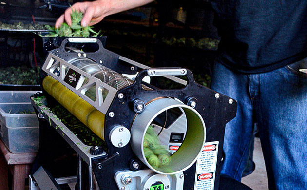 Машинка для тримминга конопли Что нужно для машинного тримминга
