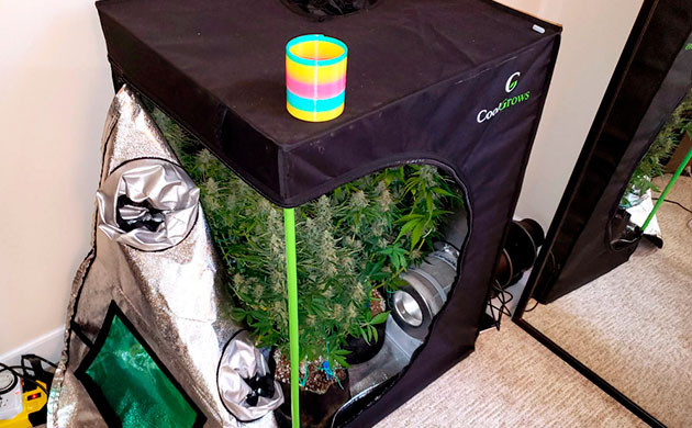 Расчёт размера гроубокса Размер гроубокса для конопли