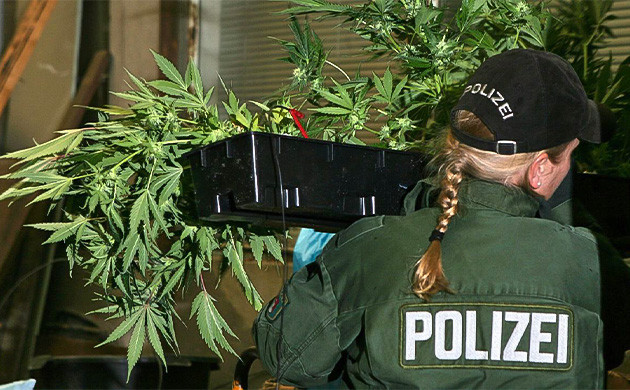 Полиция Германии поддерживает легализацию марихуаны Полиция поддерживает легализацию