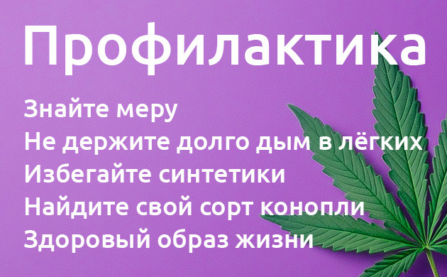 Как предотвратить конопляного похмелья Профилактика конопляного похмелья