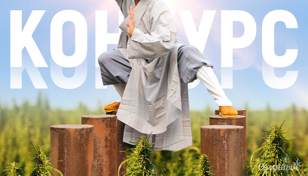 Конкурс о техниках тренировки Тренировка кустов