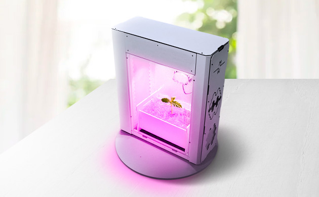 Авто сорт в стелсбоксе Безопасность при выращивании авто марихуаны