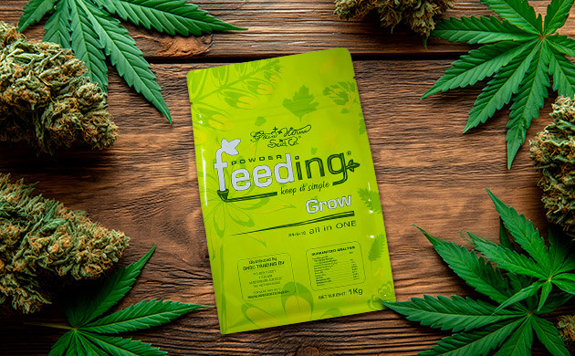 Powder Feeding Grow — питание материнского растения