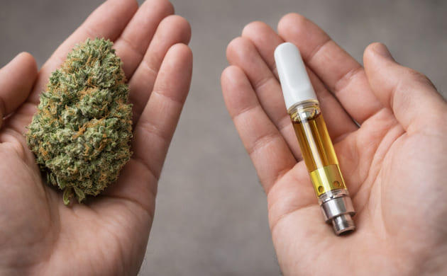 Сравнение химического и природного подхода к каннабису
