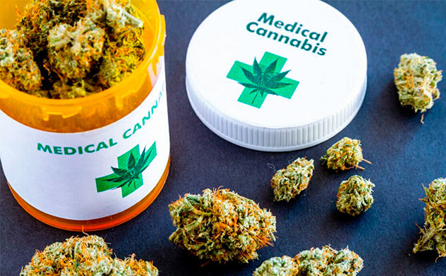 Доступность CBD конопли в Чехии Cтатус КБД и каннабиса в Чехии