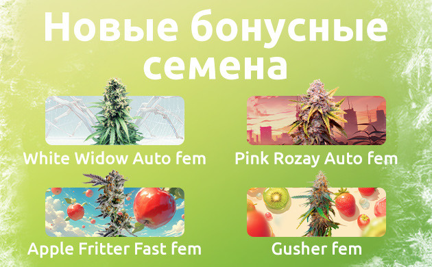 Бонусы к заказам в 2024 Обновленная линейка бонусов