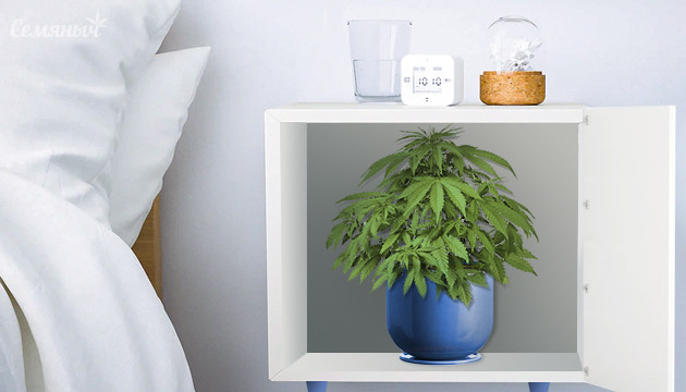 Стелс выращивание конопли Выращивание конопли в стелсе