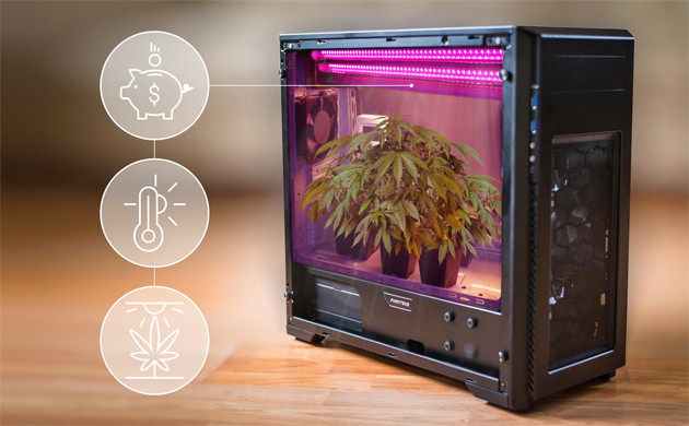 Освещение марихуаны в маленьком гроубоксе Освещение конопли