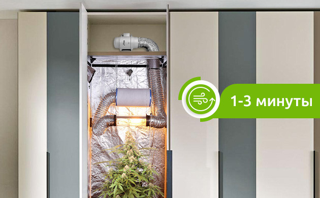 Вентиляция в гроубоксе Обновление воздуха в гроубоксе 1-3 минуты