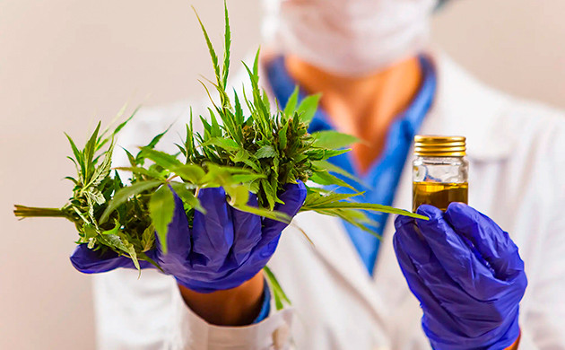 Должность экстрактора каннабиса Экстрактор каннабиса