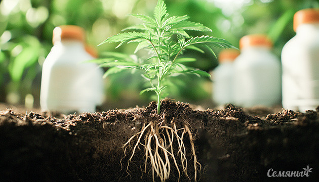 Стимуляторы и добавки для вегетации марихуаны