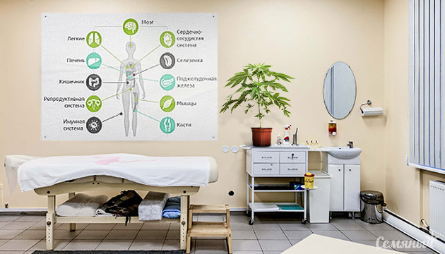 Эндоканнабиноидная система человека Эндоканнабиноидная система